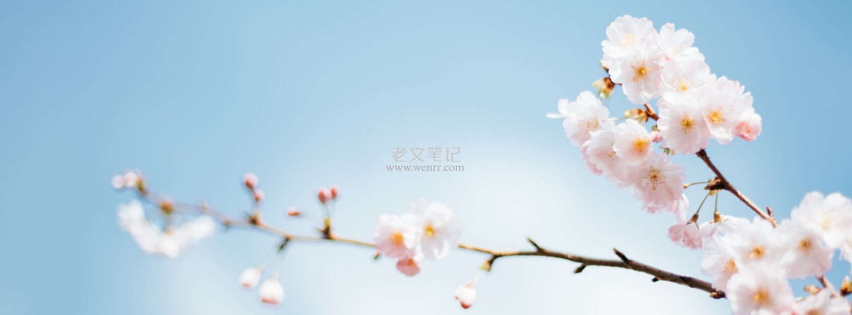 网友
