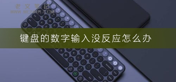 键盘的数字输入没反应怎么办