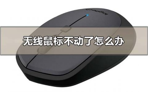 无线鼠标不动了怎么办