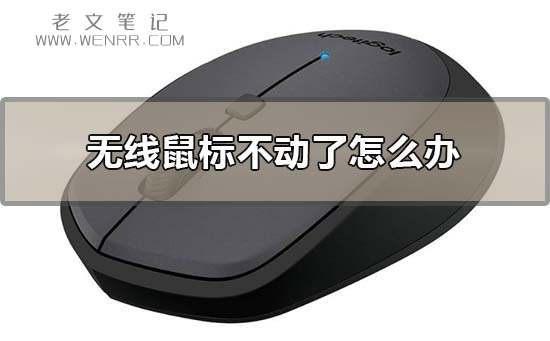 无线鼠标不动了怎么办