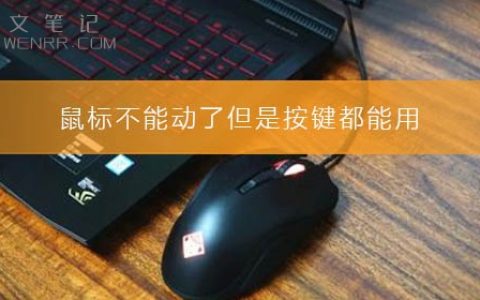 鼠标不能动了但是按键都能用