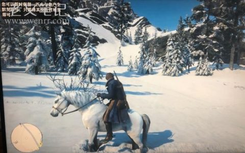 《荒野大镖客2》马驯服小技巧 马匹怎么驯服？