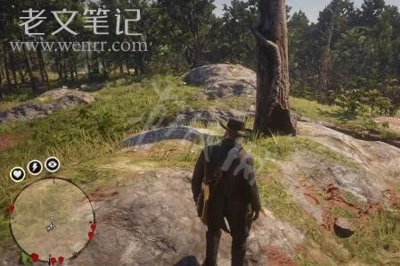 游侠网5