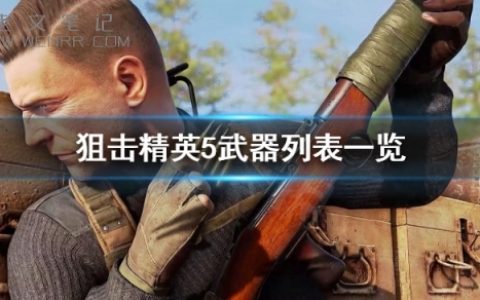 《狙击精英5》武器有哪些 武器列表